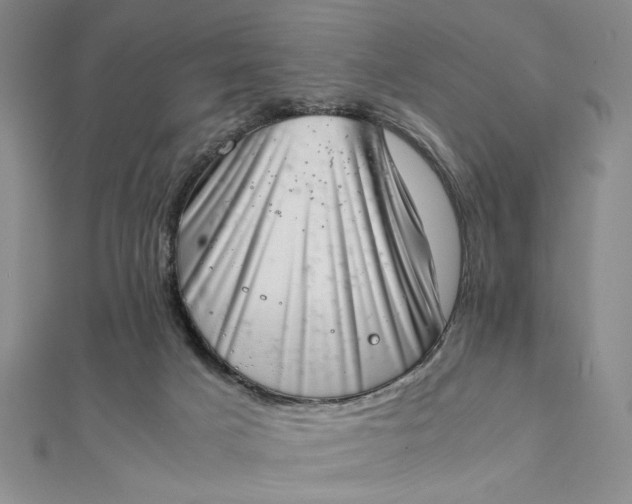 X0000111660025200907311147