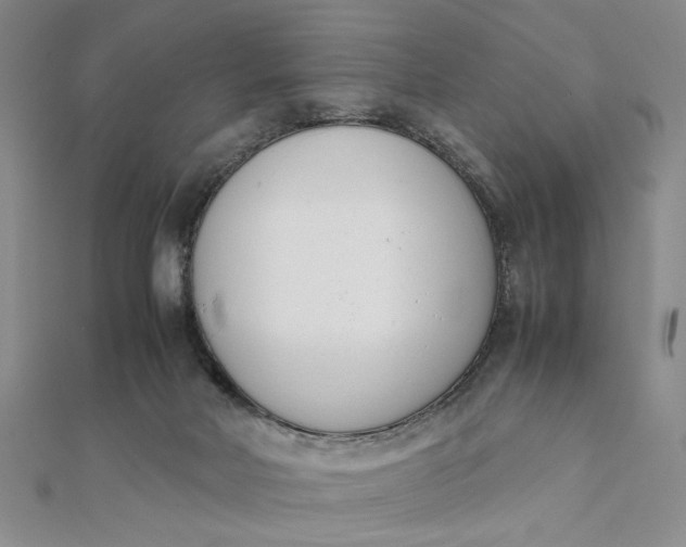 X0000111660026200907311147