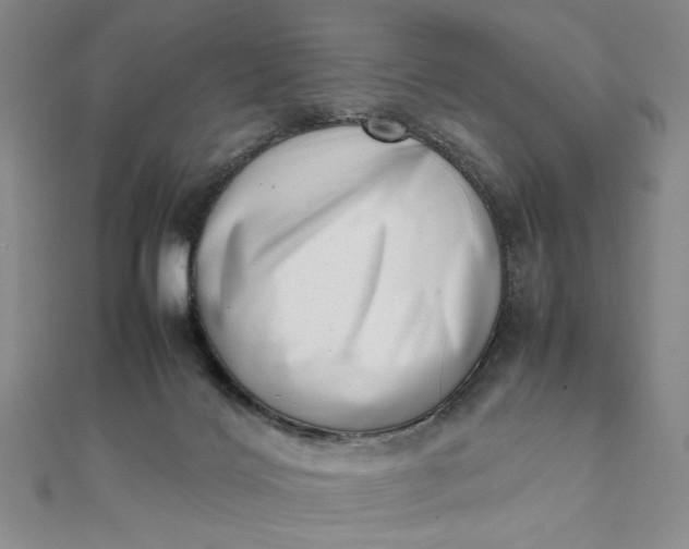 X0000111660028200907311147