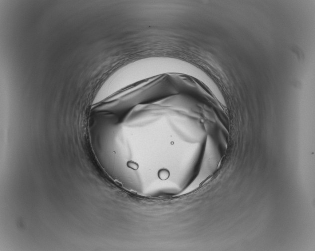 X0000111660029200907311147