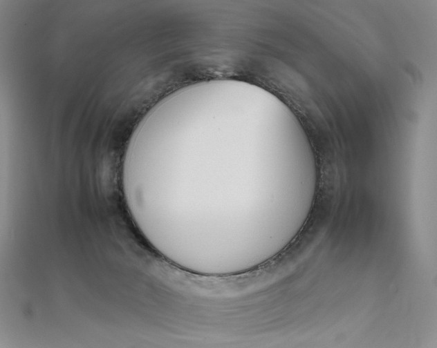 X0000111660030200907311147