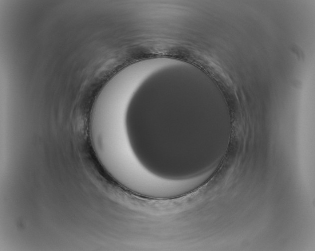 X0000111660031200907311147