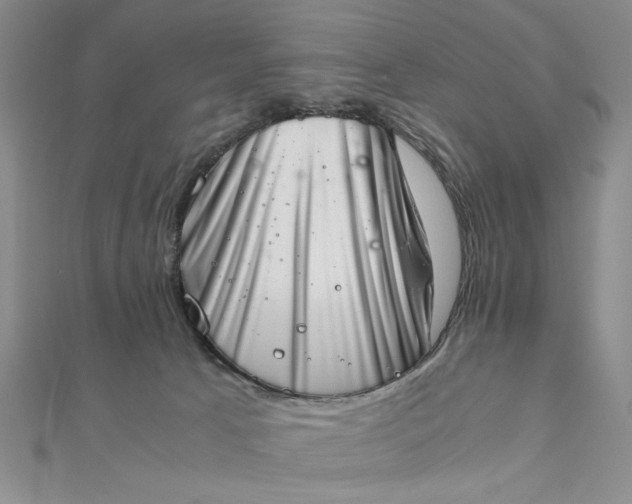 X0000111660033200907311147