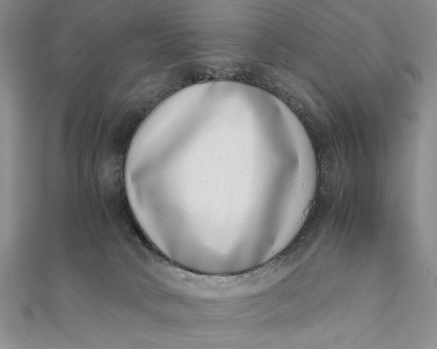 X0000111660034200907311147