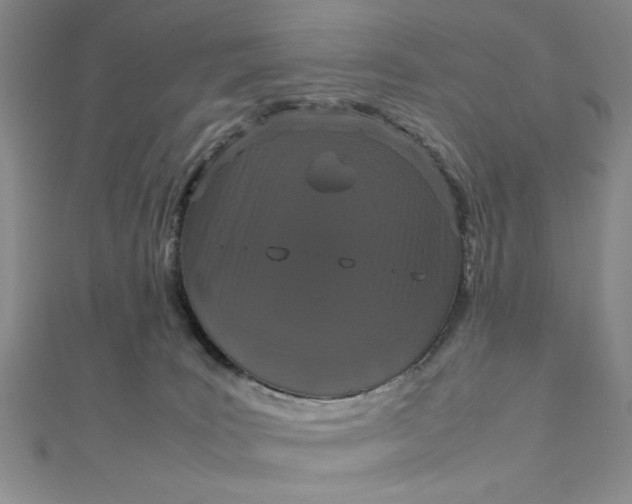 X0000111660035200907311147