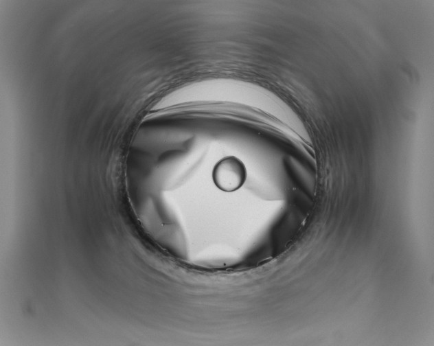 X0000111660036200907311147