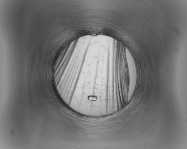 X0000111660037200907311147