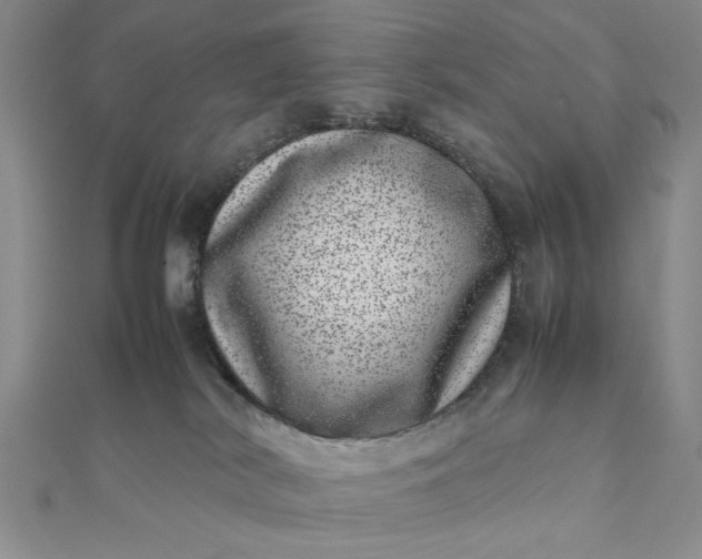 X0000111660038200907311147