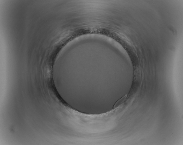 X0000111660039200907311147