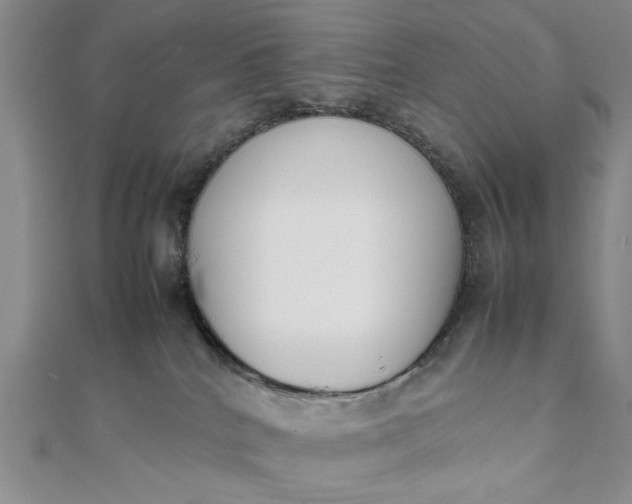 X0000111660040200907311147