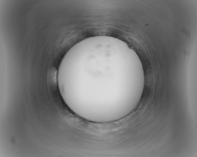 X0000111660041200907311147