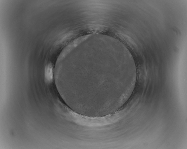 X0000111660042200907311147