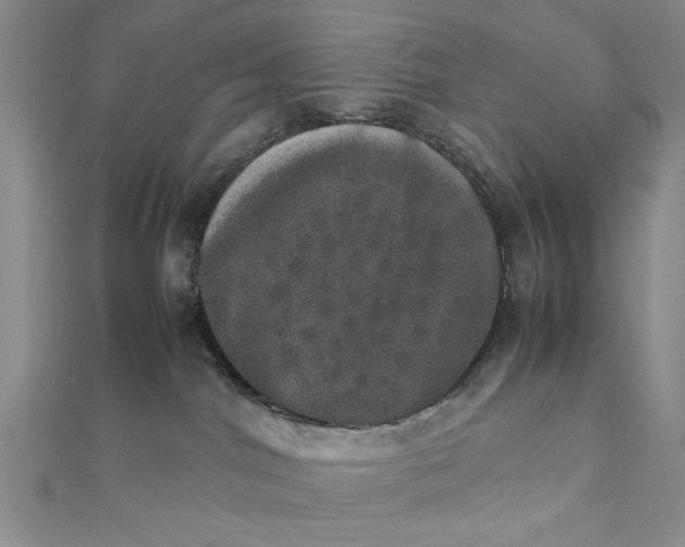 X0000111660044200907311147