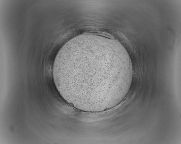 X0000111660045200907311147