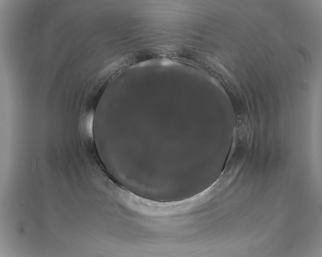 X0000111660047200907311147