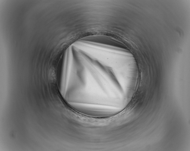 X0000111660048200907311147