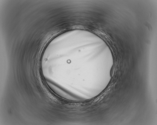 X0000111660049200907311146