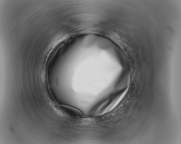 X0000111660050200907311146