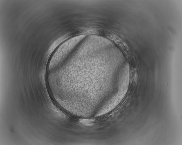 X0000111660051200907311146