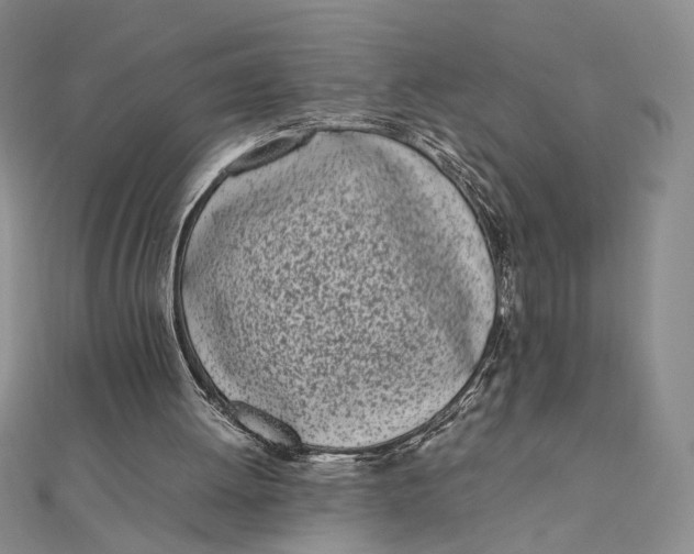 X0000111660052200907311146