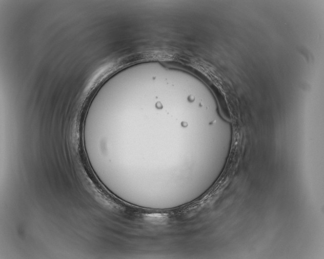 X0000111660053200907311146