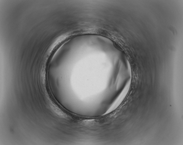 X0000111660054200907311146