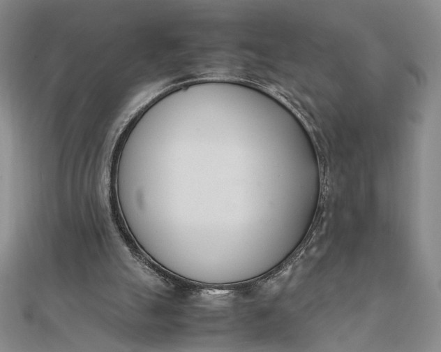 X0000111660055200907311146