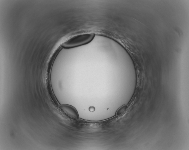 X0000111660056200907311146