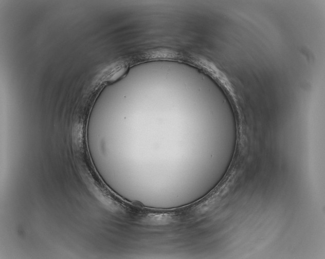 X0000111660057200907311146