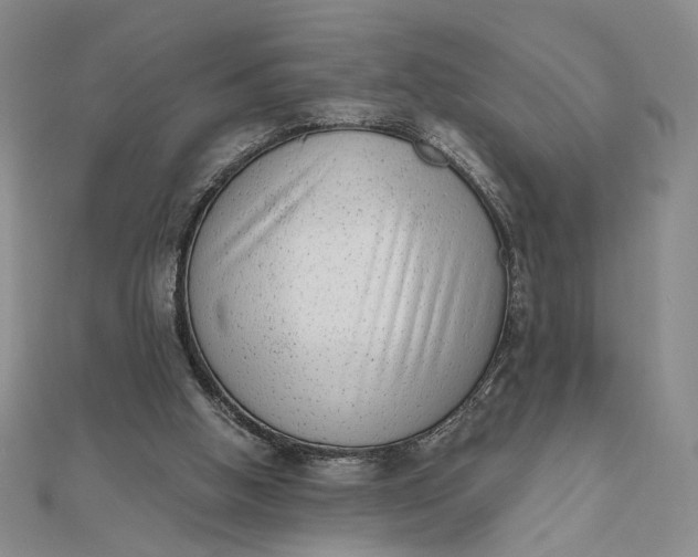 X0000111660058200907311146