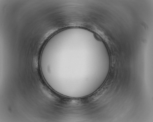 X0000111660060200907311146