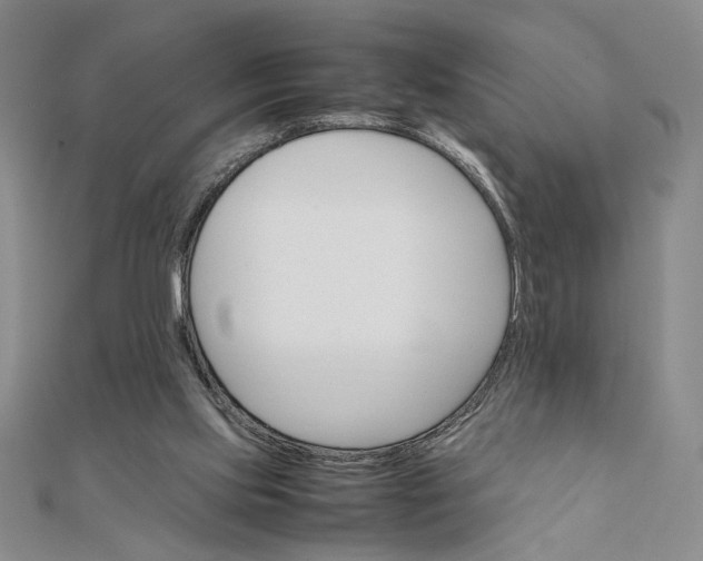 X0000111660061200907311146