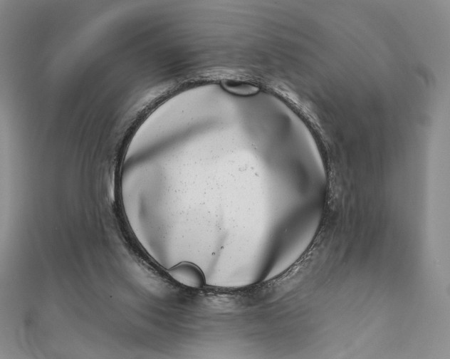 X0000111660062200907311146