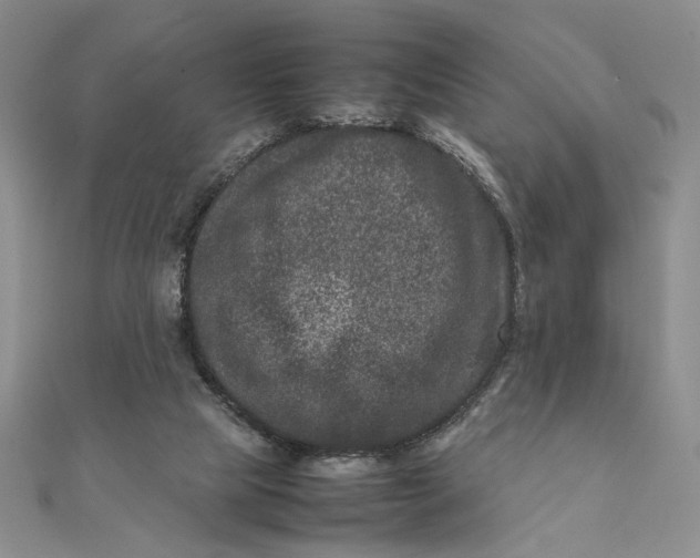 X0000111660065200907311146