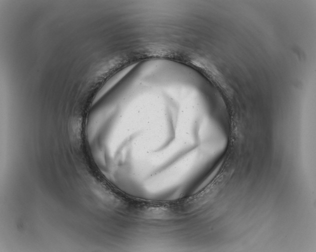 X0000111660066200907311146