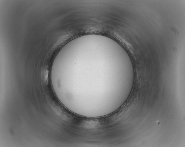 X0000111660067200907311146