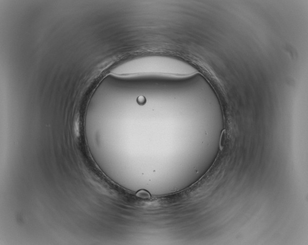 X0000111660068200907311146