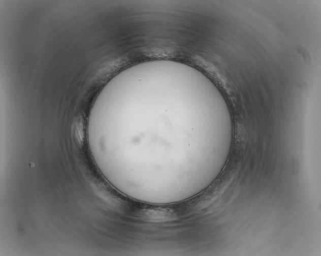 X0000111660069200907311146