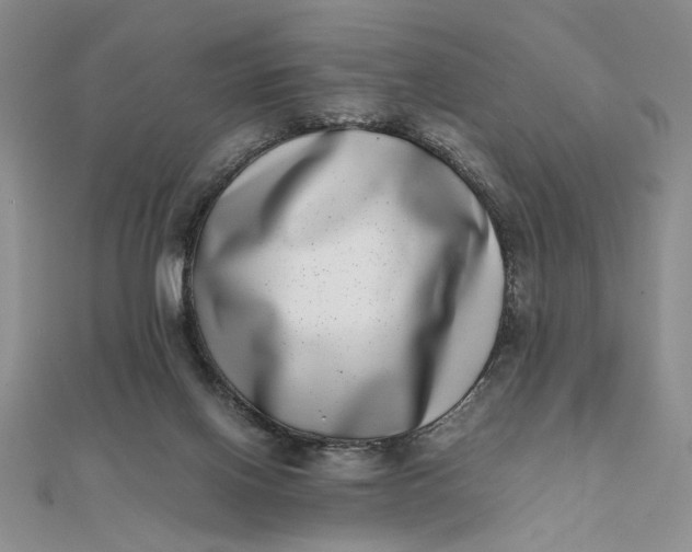 X0000111660070200907311146