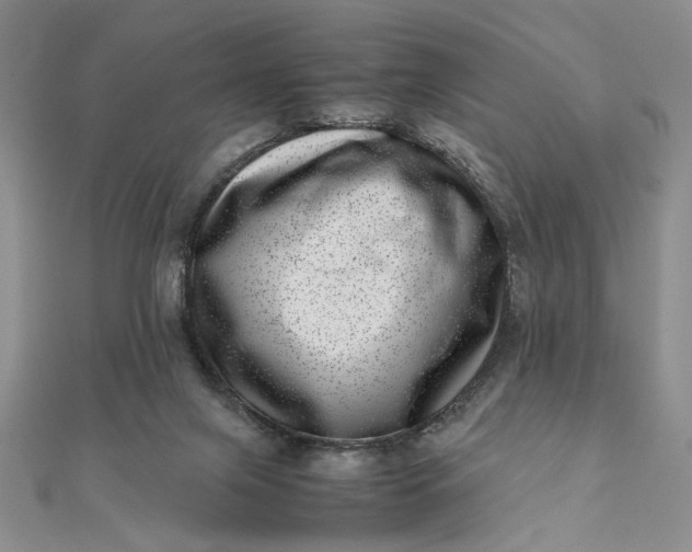 X0000111660071200907311146