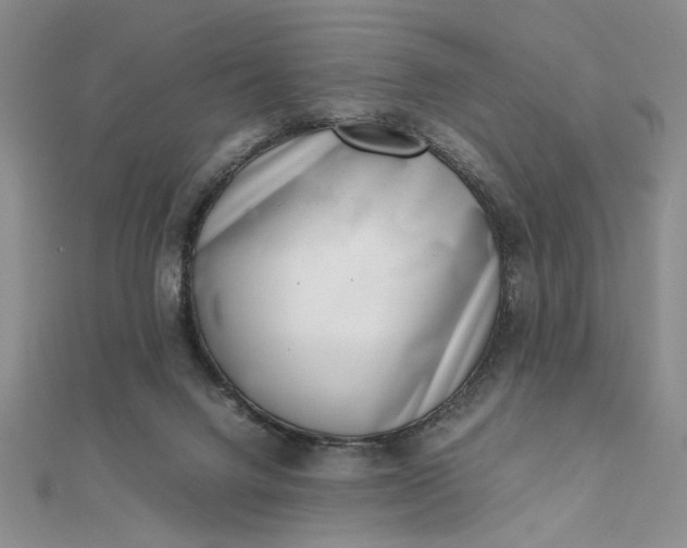 X0000111660072200907311146