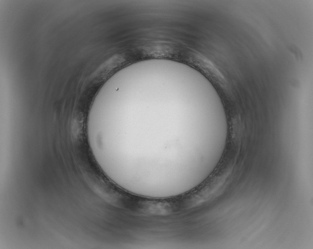 X0000111660073200907311146