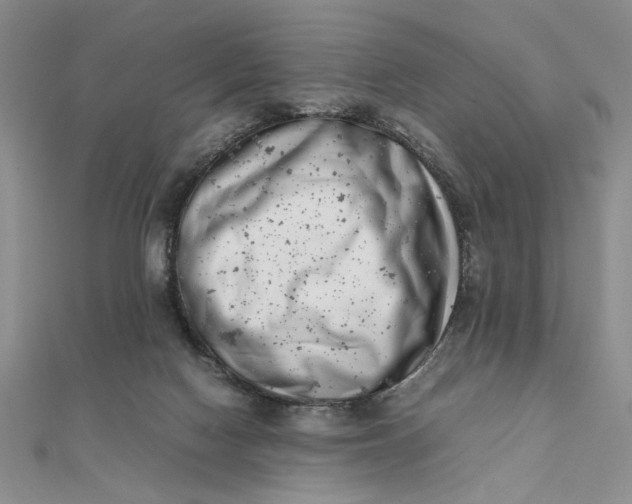 X0000111660074200907311146