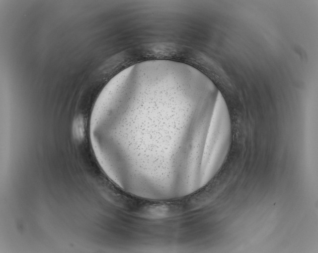 X0000111660075200907311146