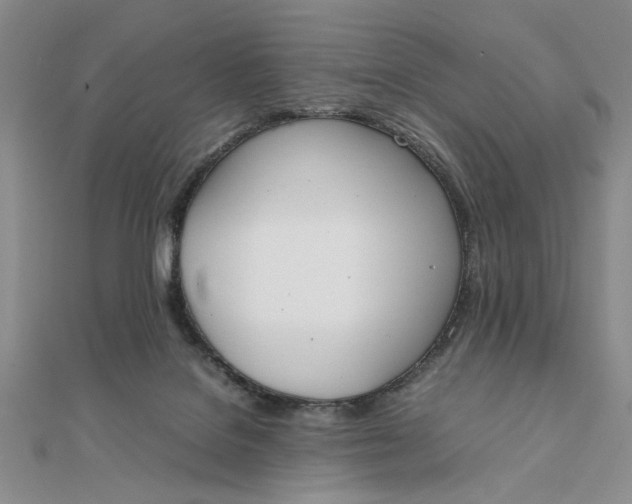 X0000111660076200907311146