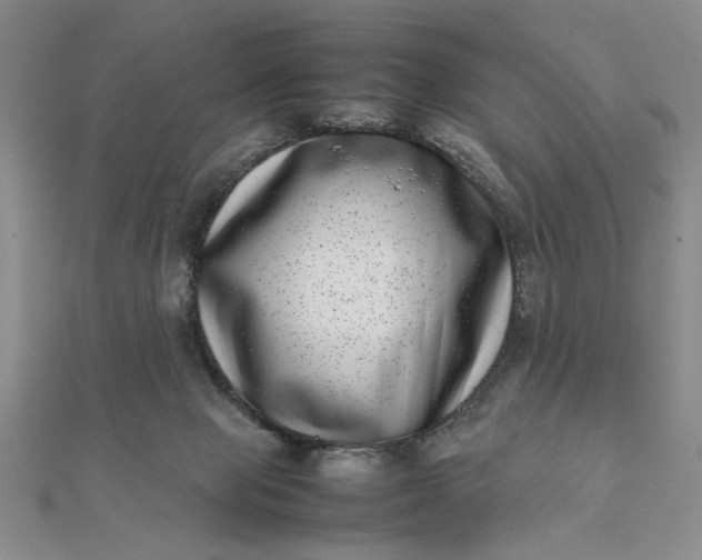 X0000111660077200907311146