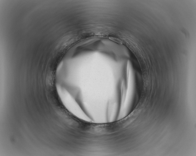 X0000111660078200907311146