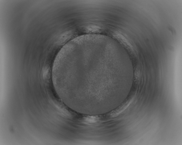 X0000111660079200907311146