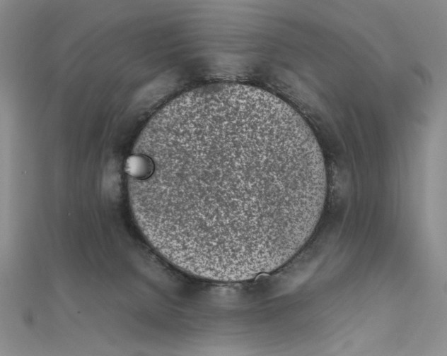 X0000111660080200907311146