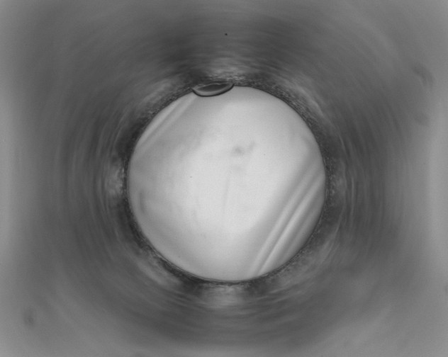 X0000111660081200907311147